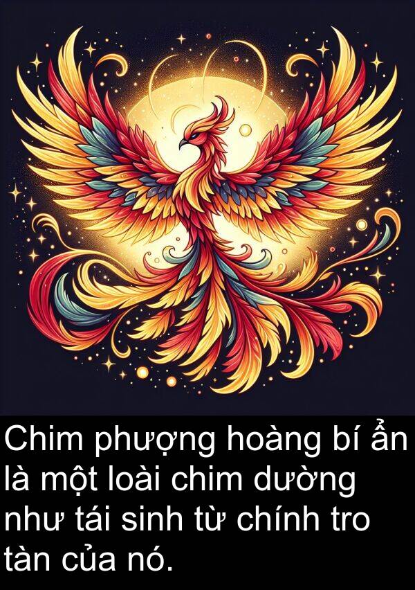 tái: Chim phượng hoàng bí ẩn là một loài chim dường như tái sinh từ chính tro tàn của nó.