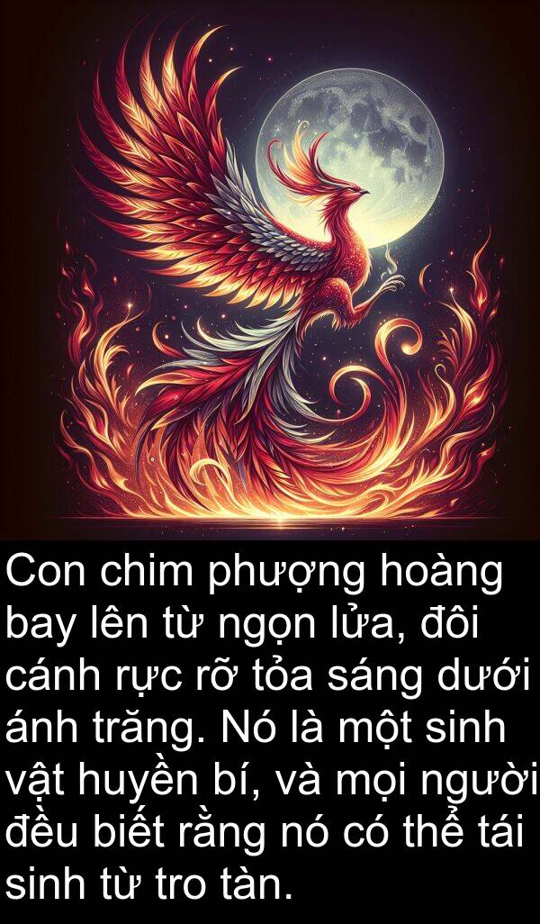 huyền: Con chim phượng hoàng bay lên từ ngọn lửa, đôi cánh rực rỡ tỏa sáng dưới ánh trăng. Nó là một sinh vật huyền bí, và mọi người đều biết rằng nó có thể tái sinh từ tro tàn.