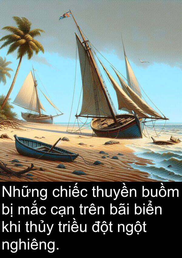 đột: Những chiếc thuyền buồm bị mắc cạn trên bãi biển khi thủy triều đột ngột nghiêng.