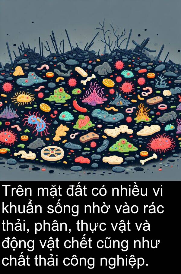 nhờ: Trên mặt đất có nhiều vi khuẩn sống nhờ vào rác thải, phân, thực vật và động vật chết cũng như chất thải công nghiệp.