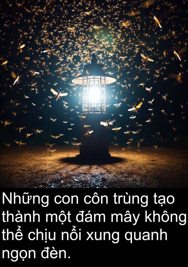 côn: Những con côn trùng tạo thành một đám mây không thể chịu nổi xung quanh ngọn đèn.