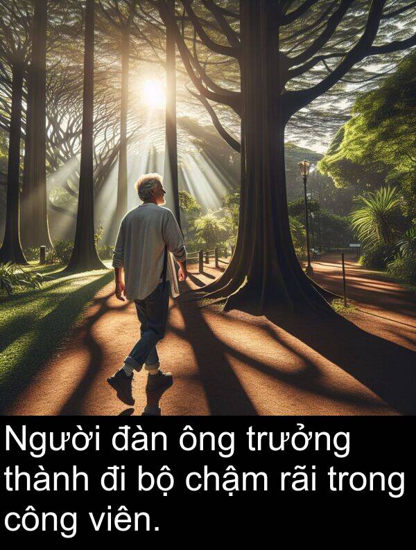 đàn: Người đàn ông trưởng thành đi bộ chậm rãi trong công viên.