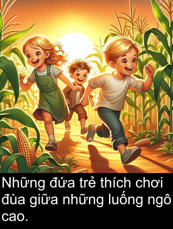đùa: Những đứa trẻ thích chơi đùa giữa những luống ngô cao.