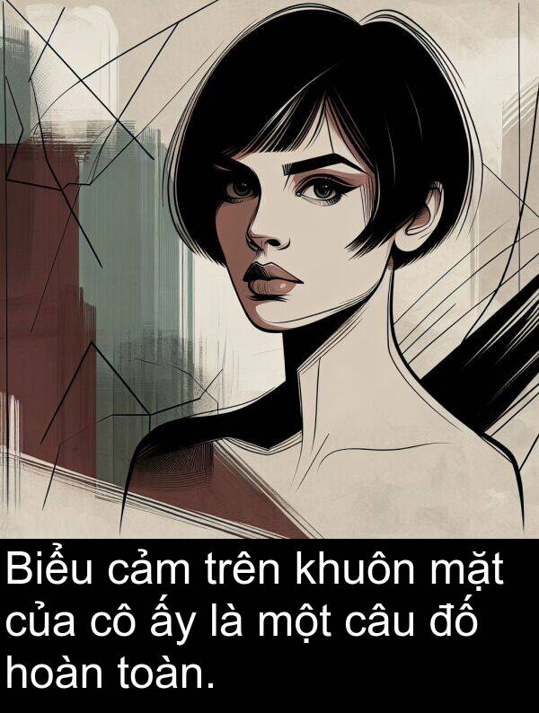 hoàn: Biểu cảm trên khuôn mặt của cô ấy là một câu đố hoàn toàn.