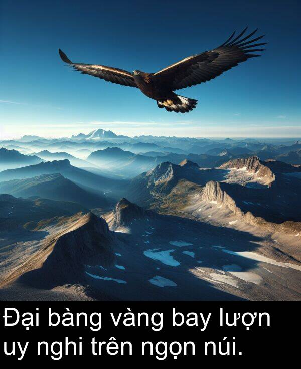 bàng: Đại bàng vàng bay lượn uy nghi trên ngọn núi.