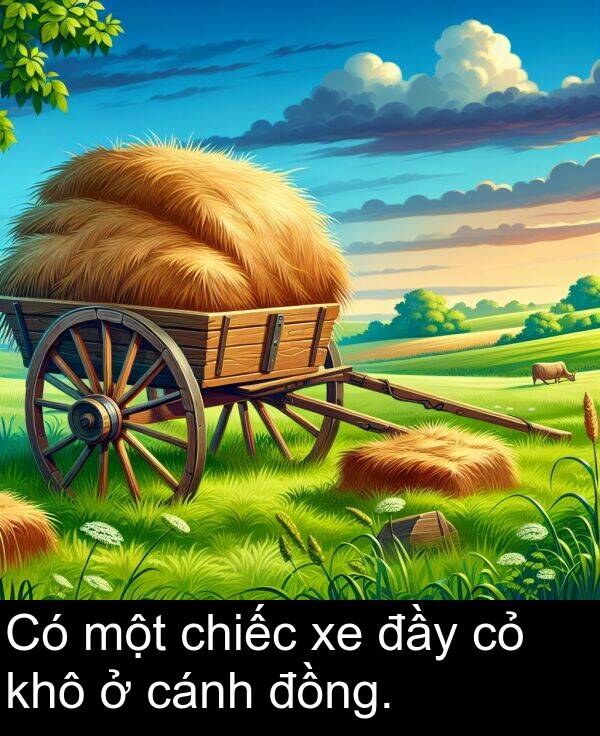 đầy: Có một chiếc xe đầy cỏ khô ở cánh đồng.