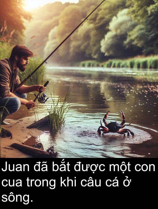 cua: Juan đã bắt được một con cua trong khi câu cá ở sông.