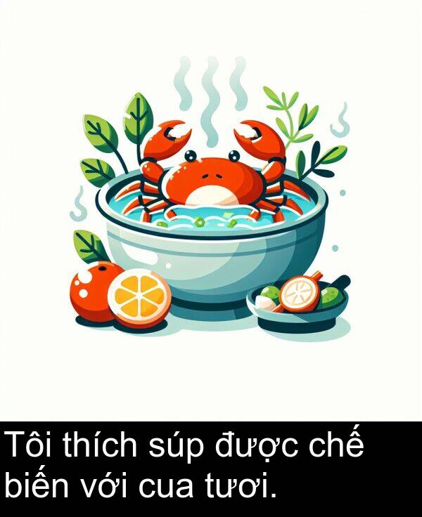 với: Tôi thích súp được chế biến với cua tươi.