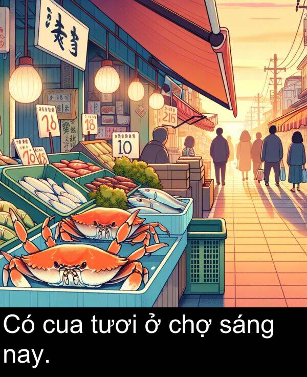 chợ: Có cua tươi ở chợ sáng nay.