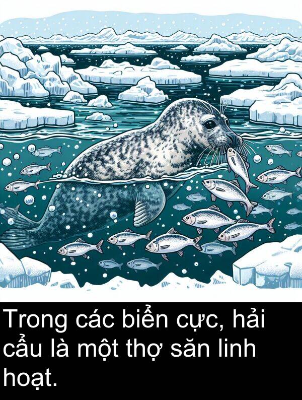 linh: Trong các biển cực, hải cẩu là một thợ săn linh hoạt.