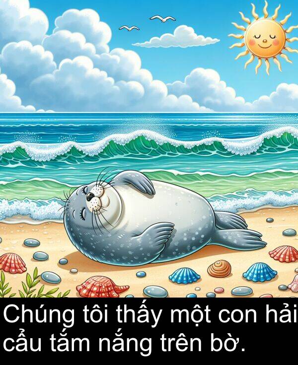 hải: Chúng tôi thấy một con hải cẩu tắm nắng trên bờ.