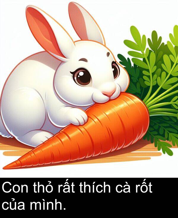 rất: Con thỏ rất thích cà rốt của mình.