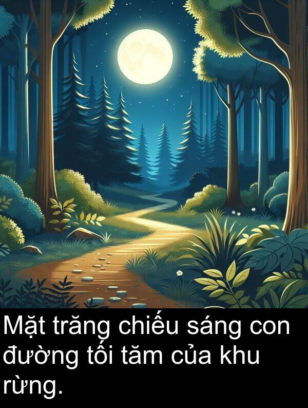 đường: Mặt trăng chiếu sáng con đường tối tăm của khu rừng.