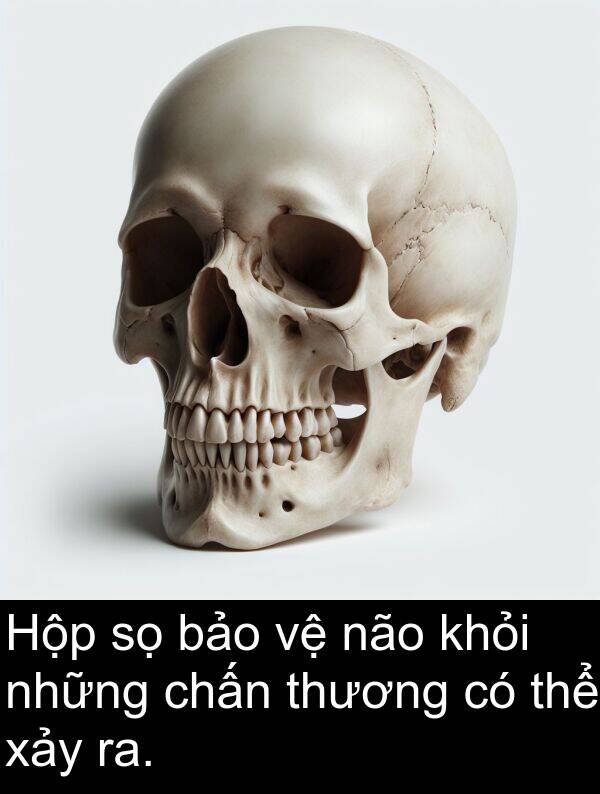 chấn: Hộp sọ bảo vệ não khỏi những chấn thương có thể xảy ra.