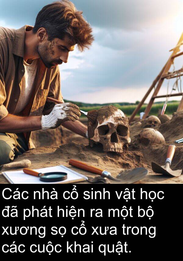 quật: Các nhà cổ sinh vật học đã phát hiện ra một bộ xương sọ cổ xưa trong các cuộc khai quật.