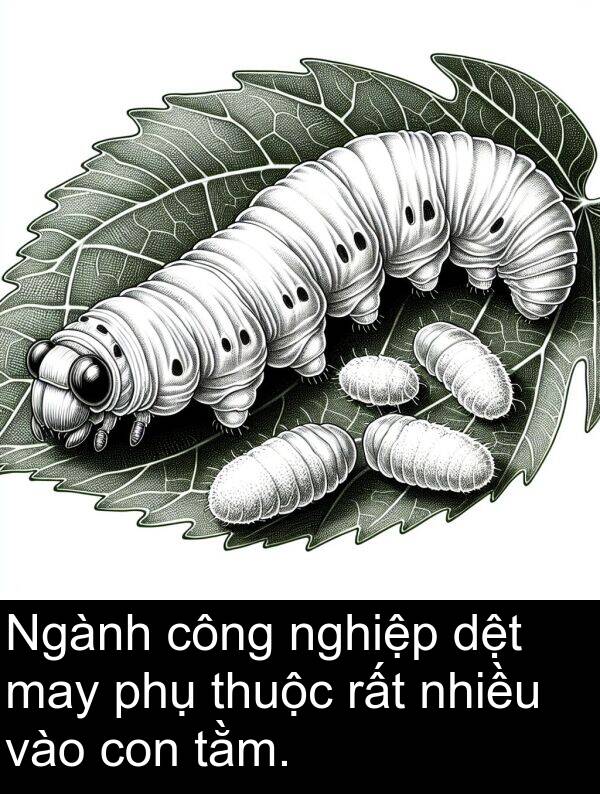 dệt: Ngành công nghiệp dệt may phụ thuộc rất nhiều vào con tằm.