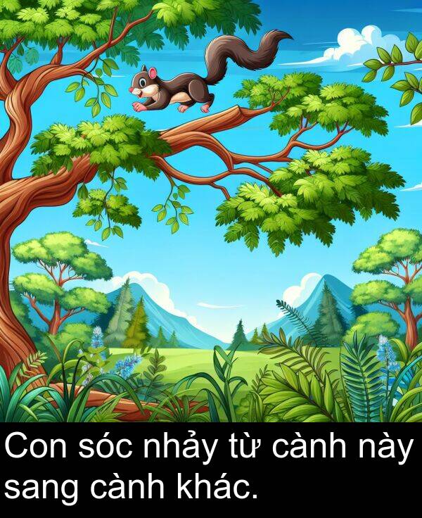 sang: Con sóc nhảy từ cành này sang cành khác.