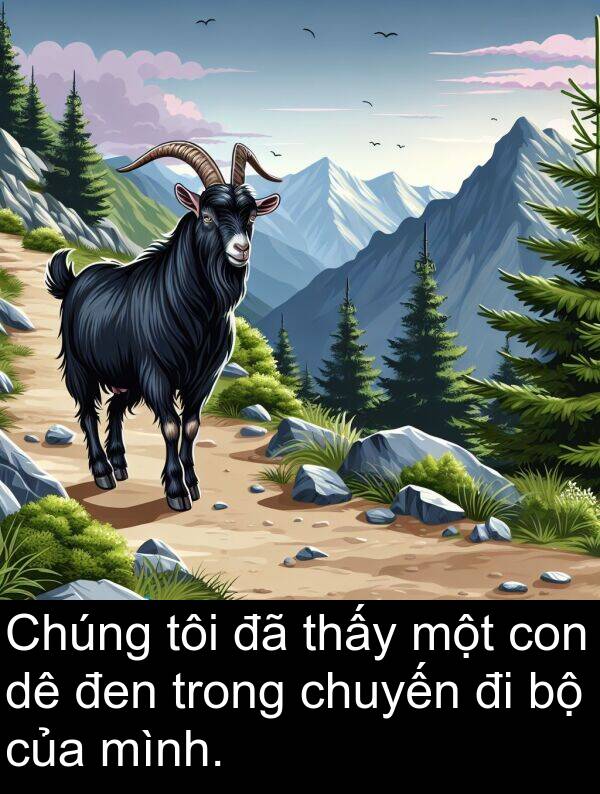 đen: Chúng tôi đã thấy một con dê đen trong chuyến đi bộ của mình.
