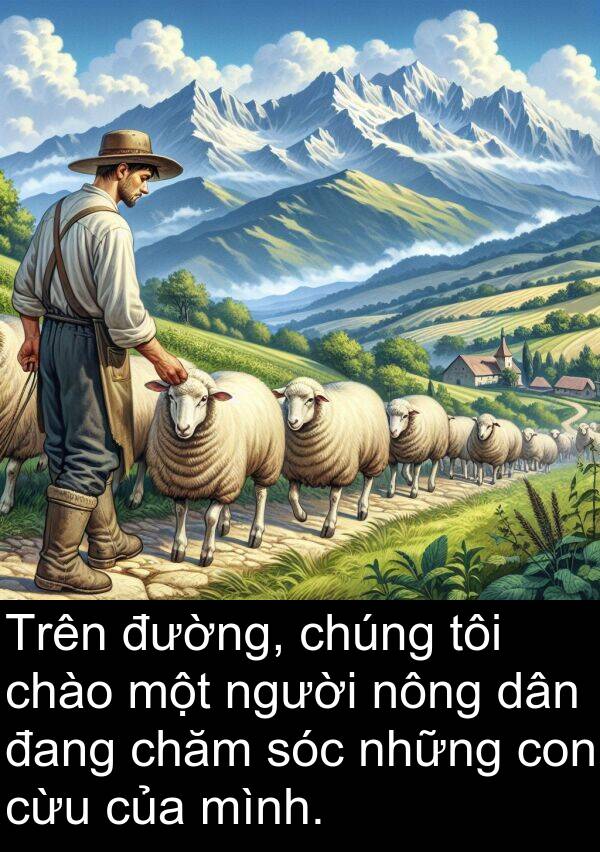 chào: Trên đường, chúng tôi chào một người nông dân đang chăm sóc những con cừu của mình.
