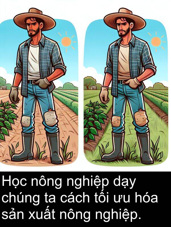 hóa: Học nông nghiệp dạy chúng ta cách tối ưu hóa sản xuất nông nghiệp.