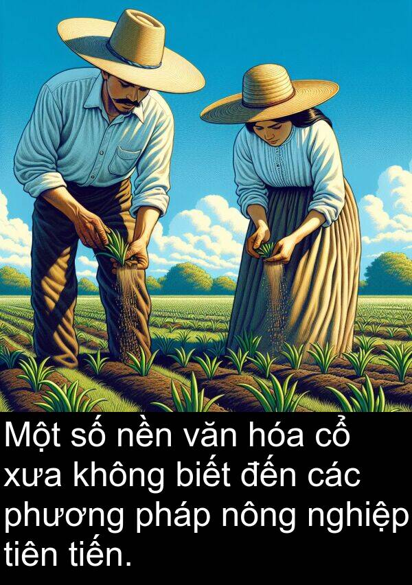 phương: Một số nền văn hóa cổ xưa không biết đến các phương pháp nông nghiệp tiên tiến.