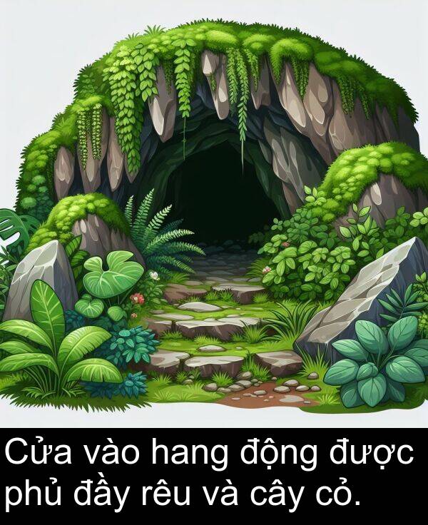 rêu: Cửa vào hang động được phủ đầy rêu và cây cỏ.