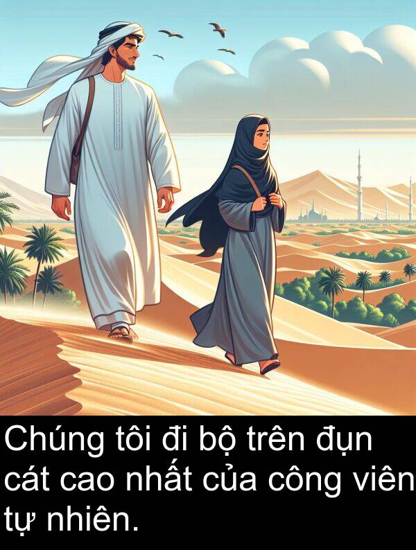 đụn: Chúng tôi đi bộ trên đụn cát cao nhất của công viên tự nhiên.