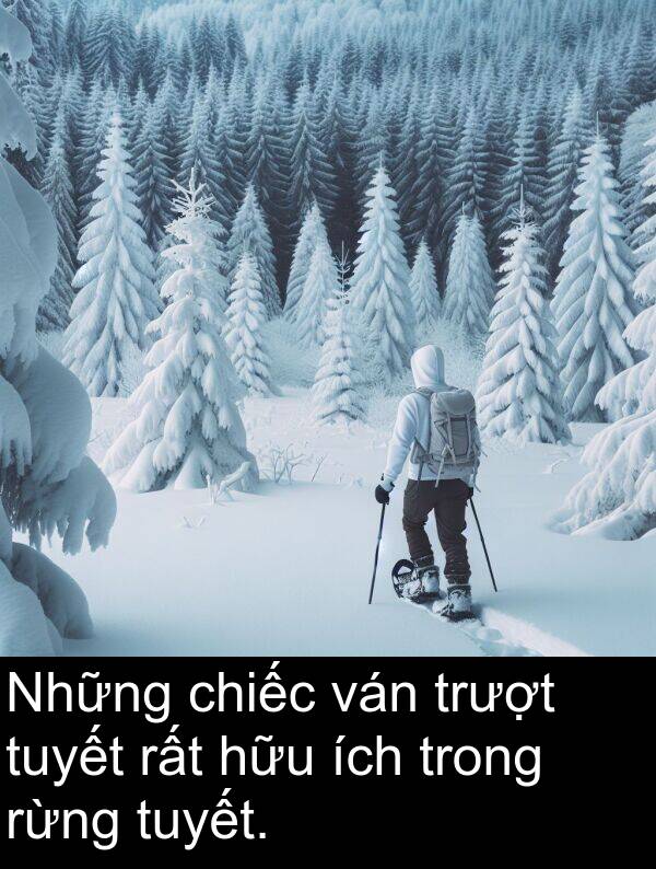 ích: Những chiếc ván trượt tuyết rất hữu ích trong rừng tuyết.