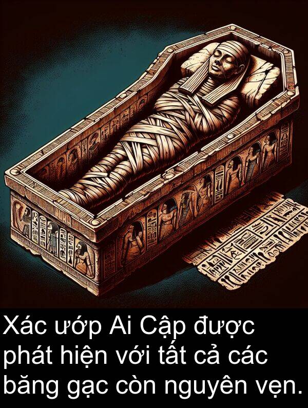 ướp: Xác ướp Ai Cập được phát hiện với tất cả các băng gạc còn nguyên vẹn.