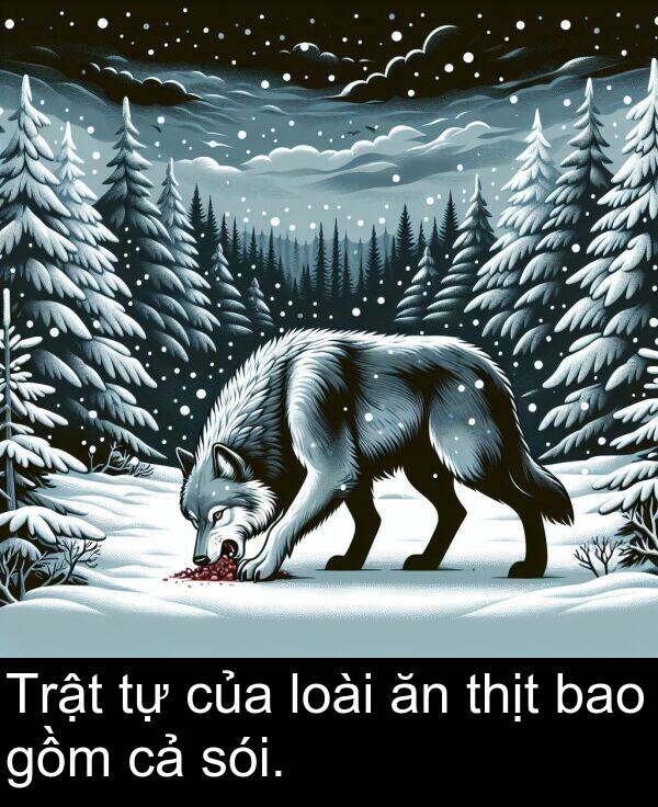 thịt: Trật tự của loài ăn thịt bao gồm cả sói.