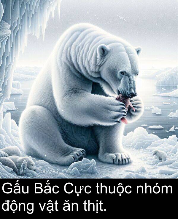 thịt: Gấu Bắc Cực thuộc nhóm động vật ăn thịt.