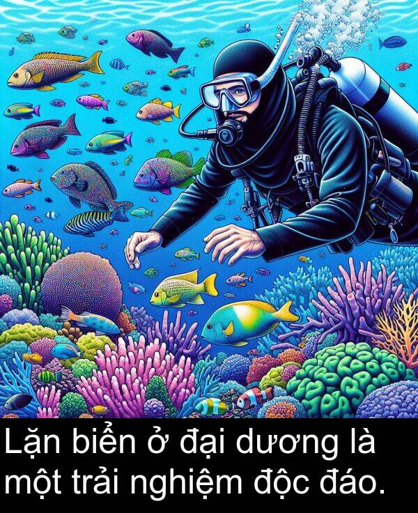 độc: Lặn biển ở đại dương là một trải nghiệm độc đáo.