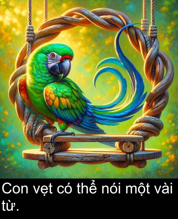 vẹt: Con vẹt có thể nói một vài từ.