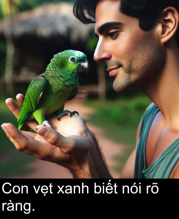 vẹt: Con vẹt xanh biết nói rõ ràng.