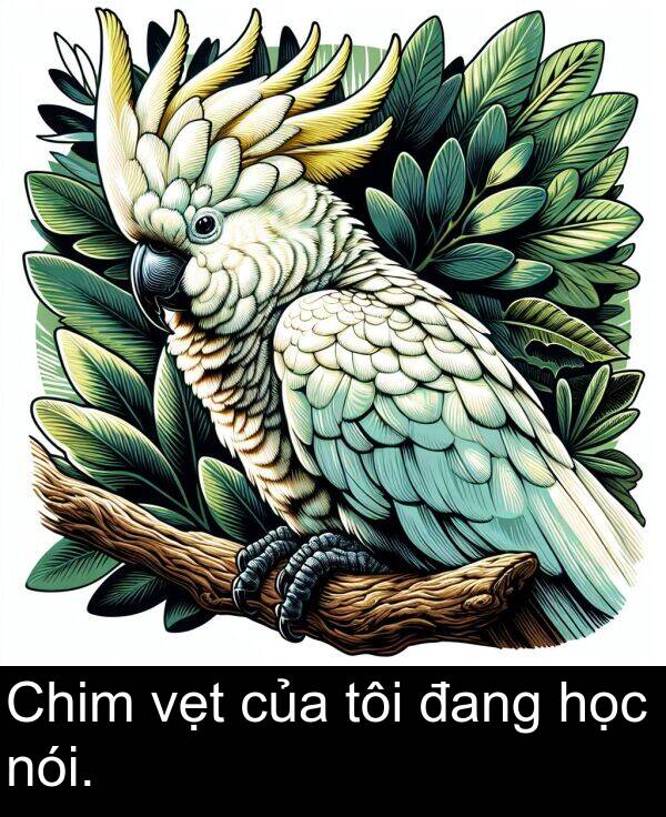 đang: Chim vẹt của tôi đang học nói.
