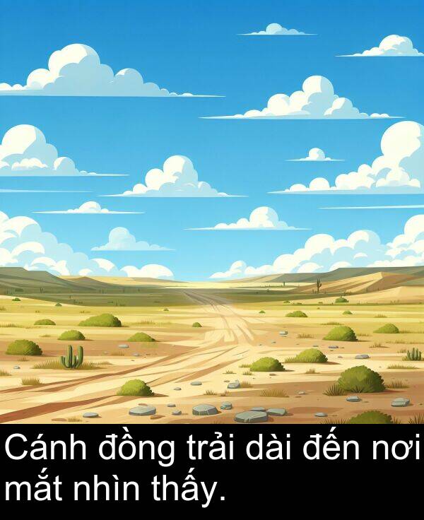 đến: Cánh đồng trải dài đến nơi mắt nhìn thấy.