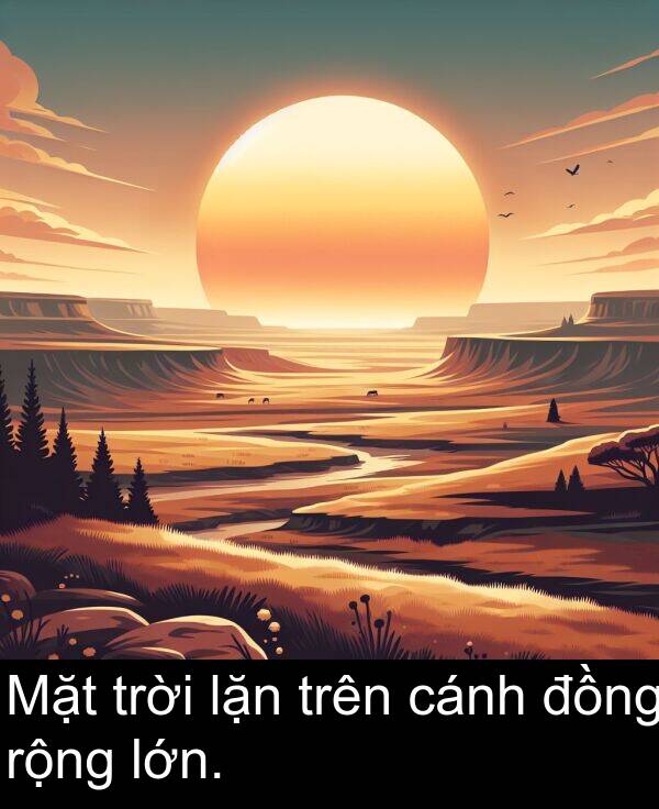 trên: Mặt trời lặn trên cánh đồng rộng lớn.