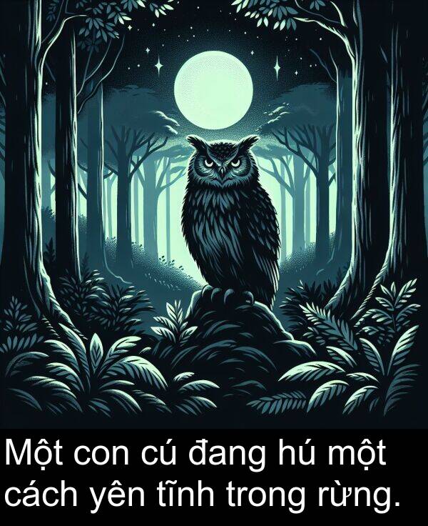 đang: Một con cú đang hú một cách yên tĩnh trong rừng.