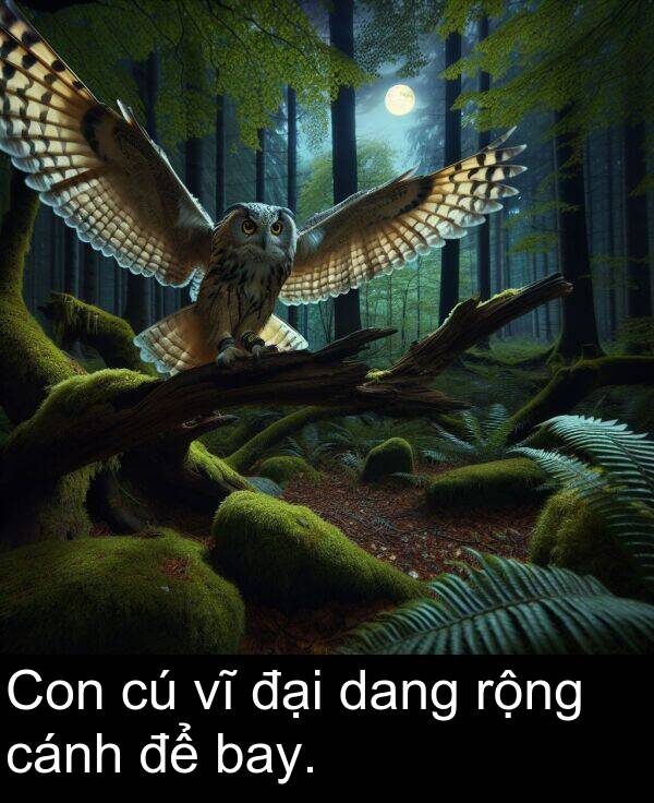 đại: Con cú vĩ đại dang rộng cánh để bay.