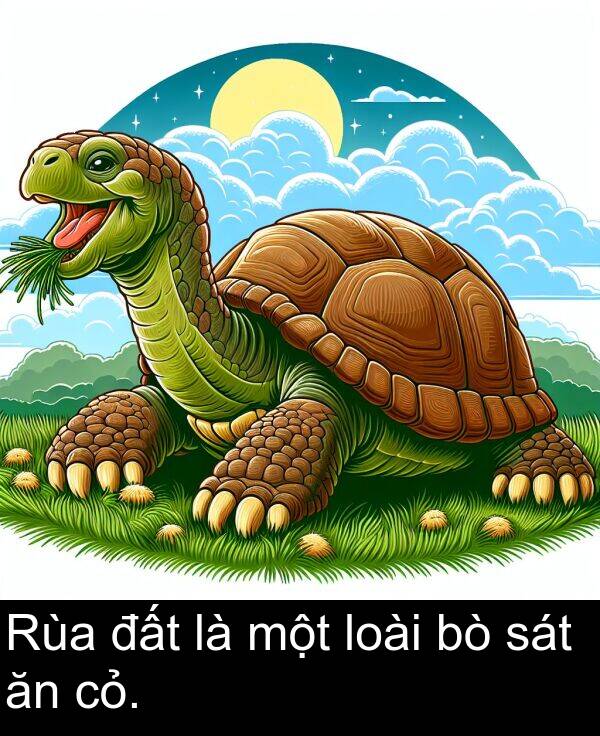 đất: Rùa đất là một loài bò sát ăn cỏ.