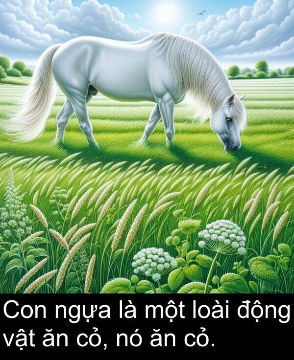 ngựa: Con ngựa là một loài động vật ăn cỏ, nó ăn cỏ.