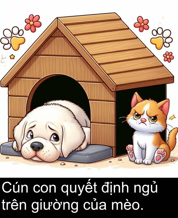 định: Cún con quyết định ngủ trên giường của mèo.