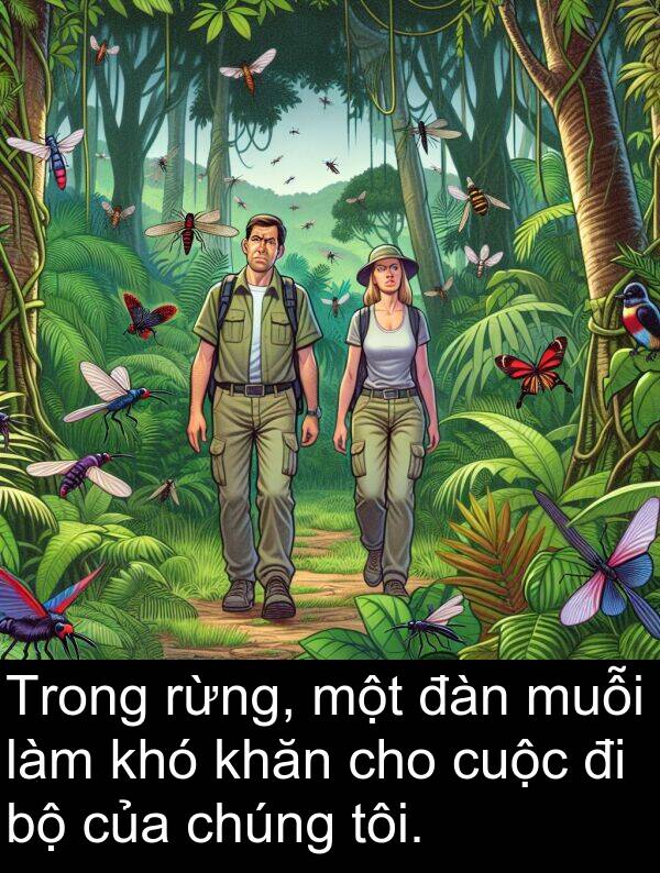 đàn: Trong rừng, một đàn muỗi làm khó khăn cho cuộc đi bộ của chúng tôi.