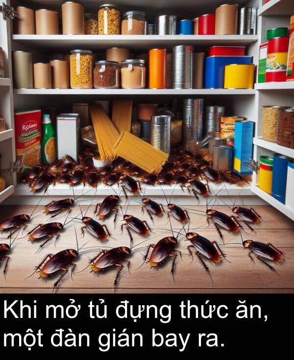 đựng: Khi mở tủ đựng thức ăn, một đàn gián bay ra.