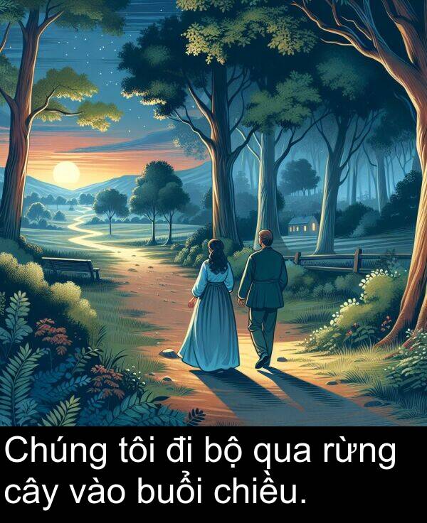 buổi: Chúng tôi đi bộ qua rừng cây vào buổi chiều.