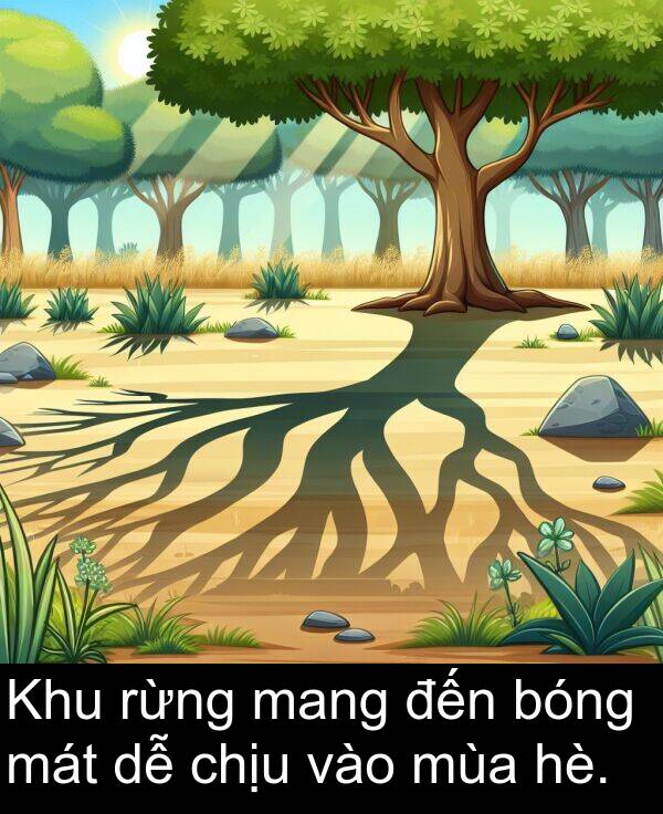 đến: Khu rừng mang đến bóng mát dễ chịu vào mùa hè.