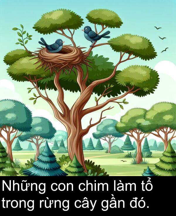 đó: Những con chim làm tổ trong rừng cây gần đó.