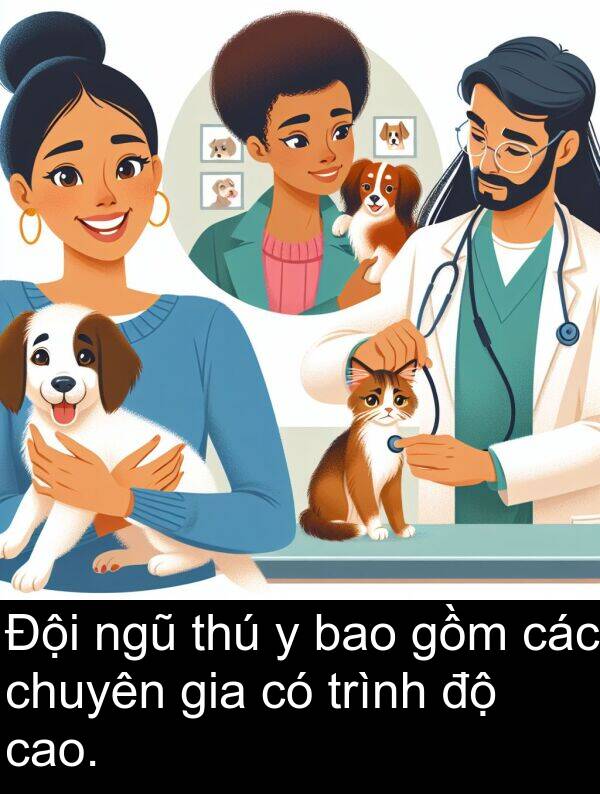 các: Đội ngũ thú y bao gồm các chuyên gia có trình độ cao.