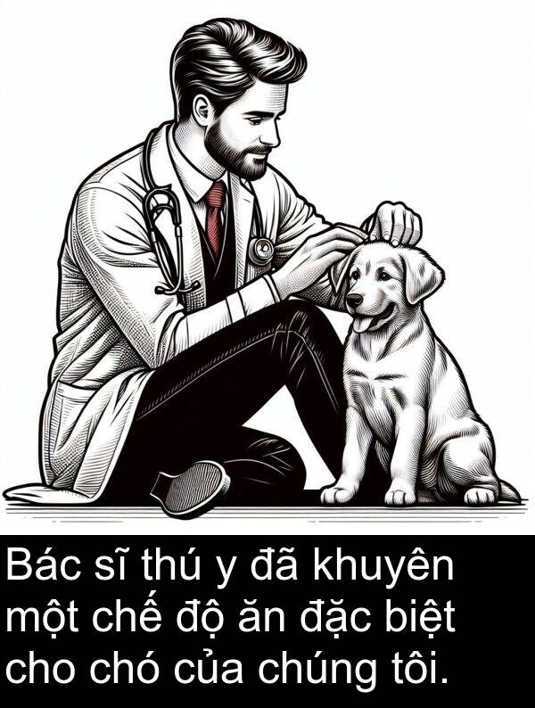 biệt: Bác sĩ thú y đã khuyên một chế độ ăn đặc biệt cho chó của chúng tôi.