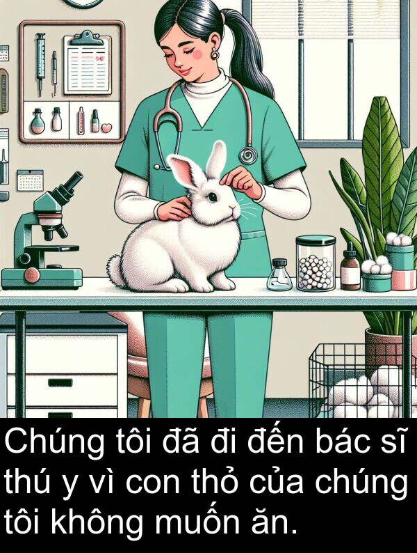 bác: Chúng tôi đã đi đến bác sĩ thú y vì con thỏ của chúng tôi không muốn ăn.